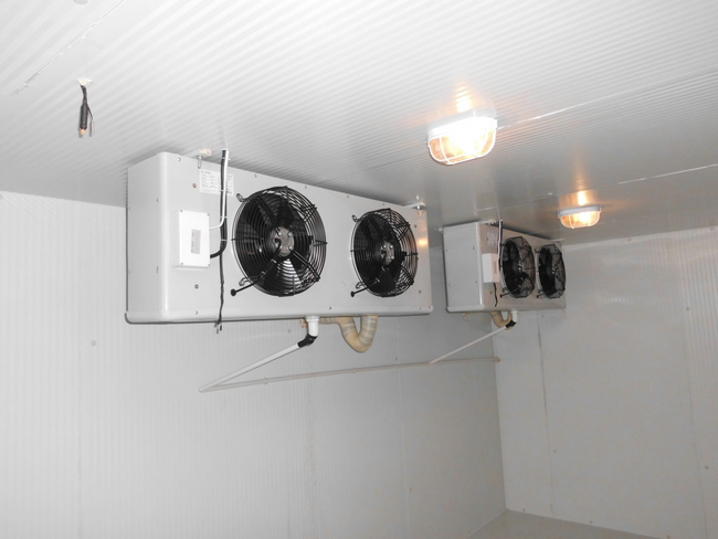 什么是冰庫？冰庫如何設計建造